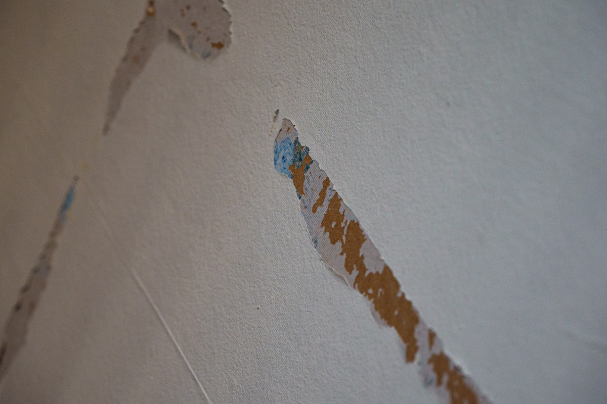 Flood Cleanup service in Oklahoma City, OK